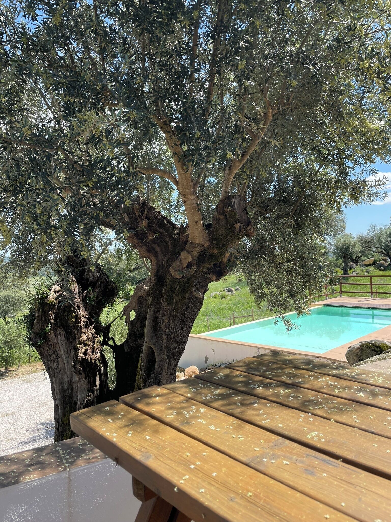 ガーデン ビュー