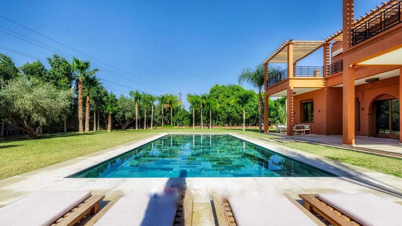 Ein Swimmingpool mit klarem, blauem Wasser, umgeben von einem gepflegten Rasen und Palmen.