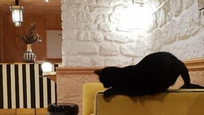 内装