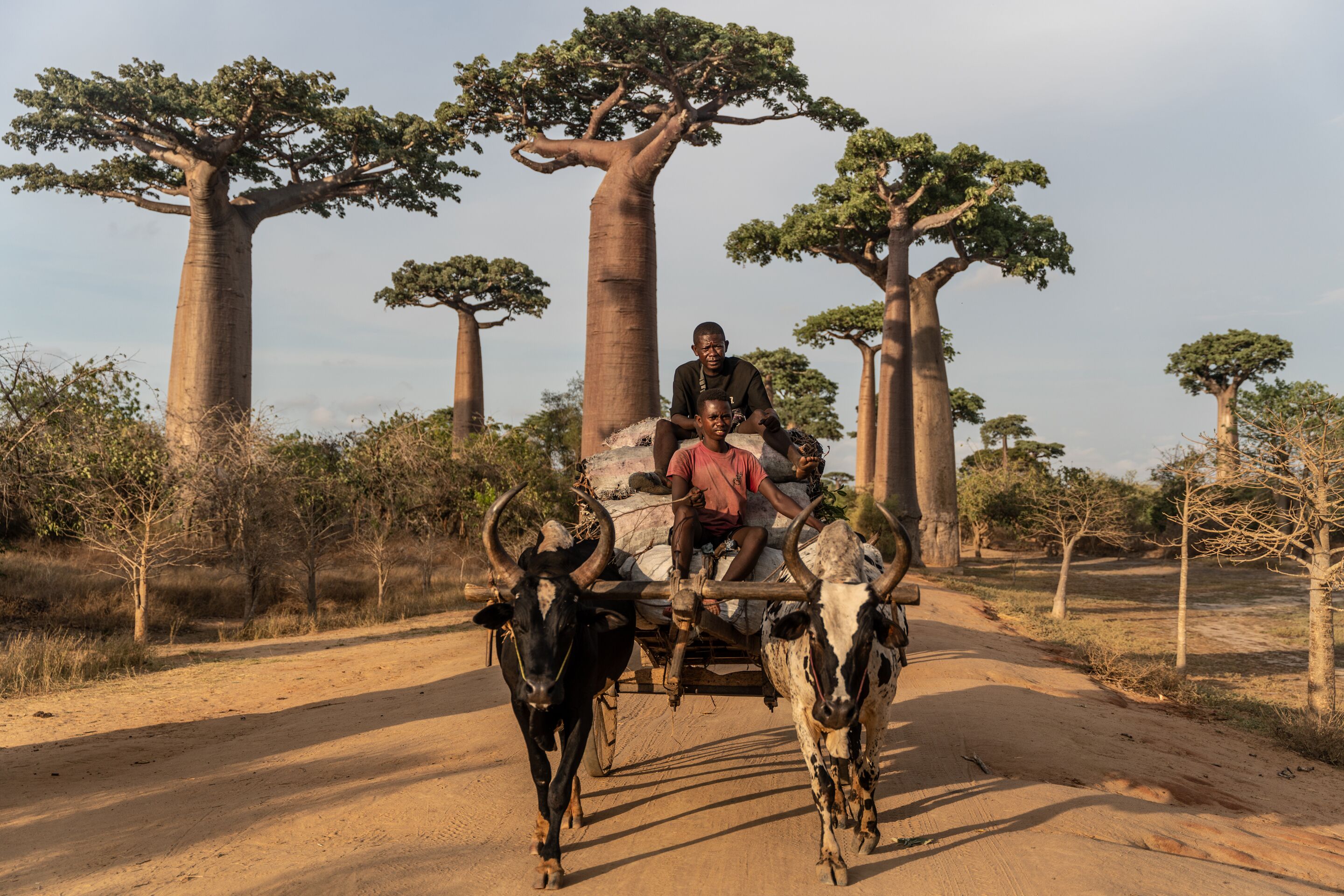 Foto - Valiha Hotel Antananarivo
