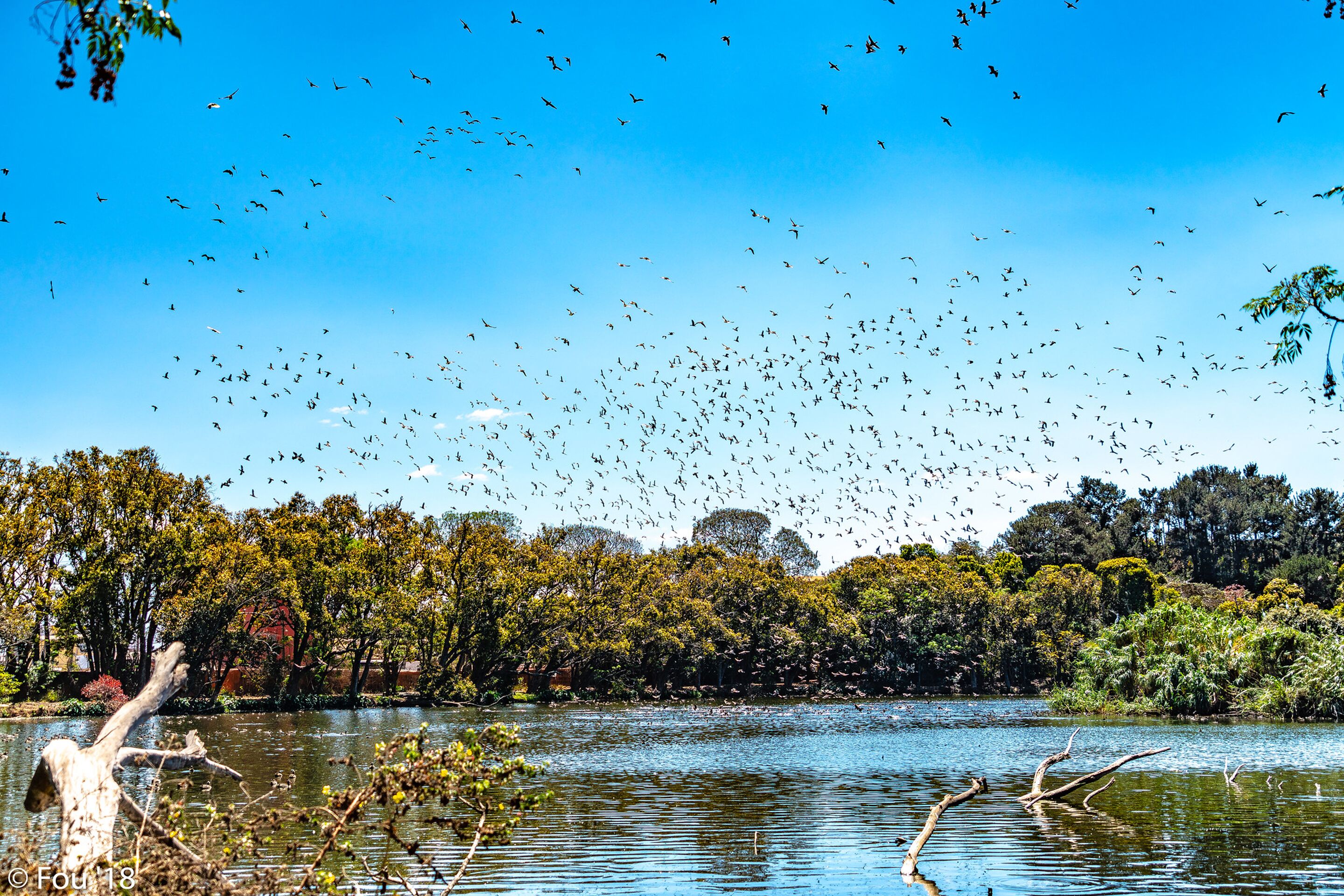 Foto - Valiha Hotel Antananarivo