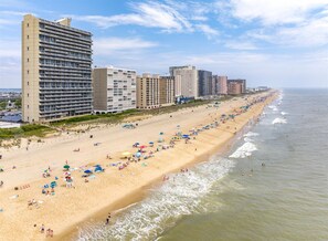 On the beach - Century One-Beautiful 2 Bed Oceanfront with Indoor Pool! (Ocean City)