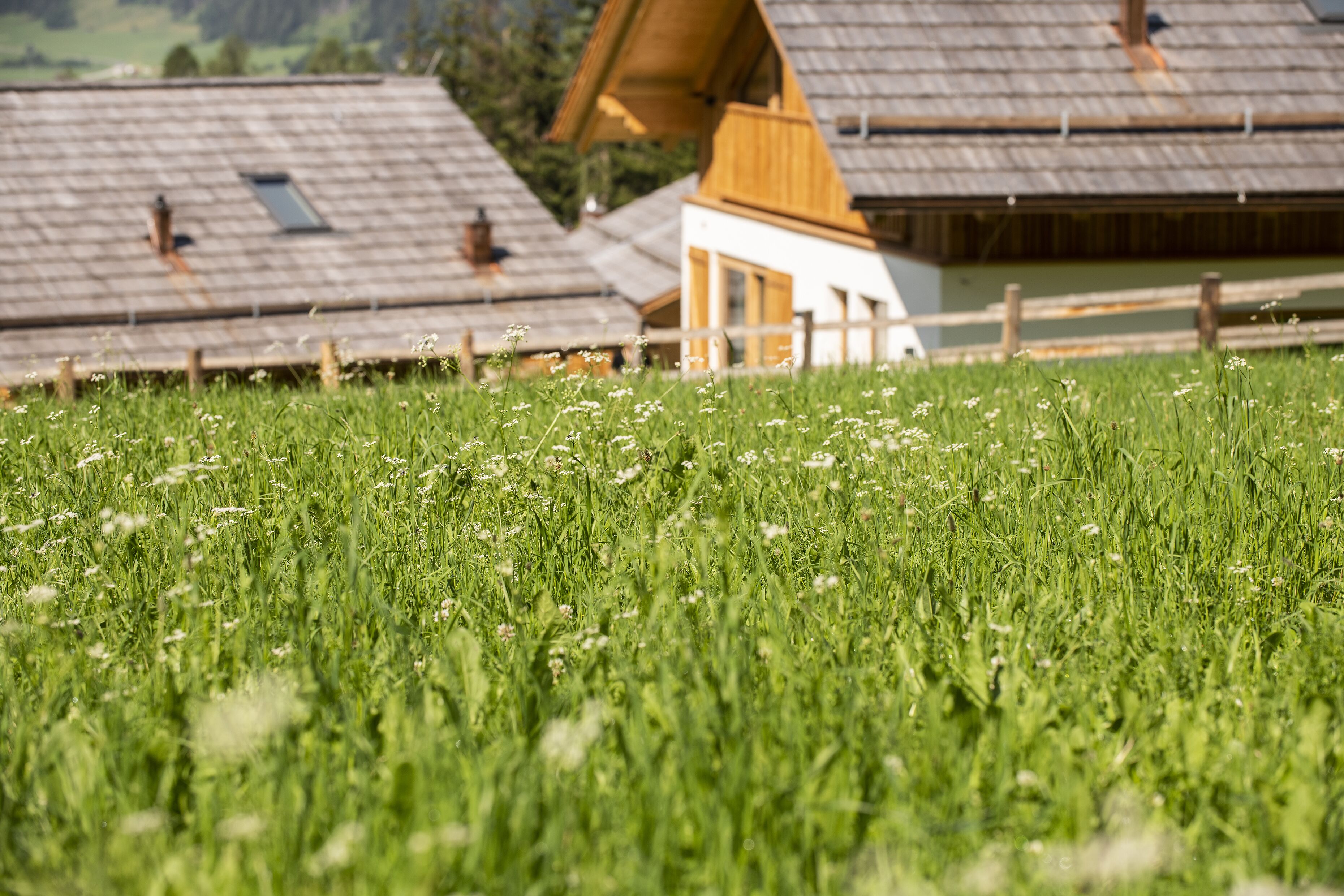 Un paysage rural avec des maisons traditionnelles en bois, un champ verdoyant et un petit bâtiment blanc.