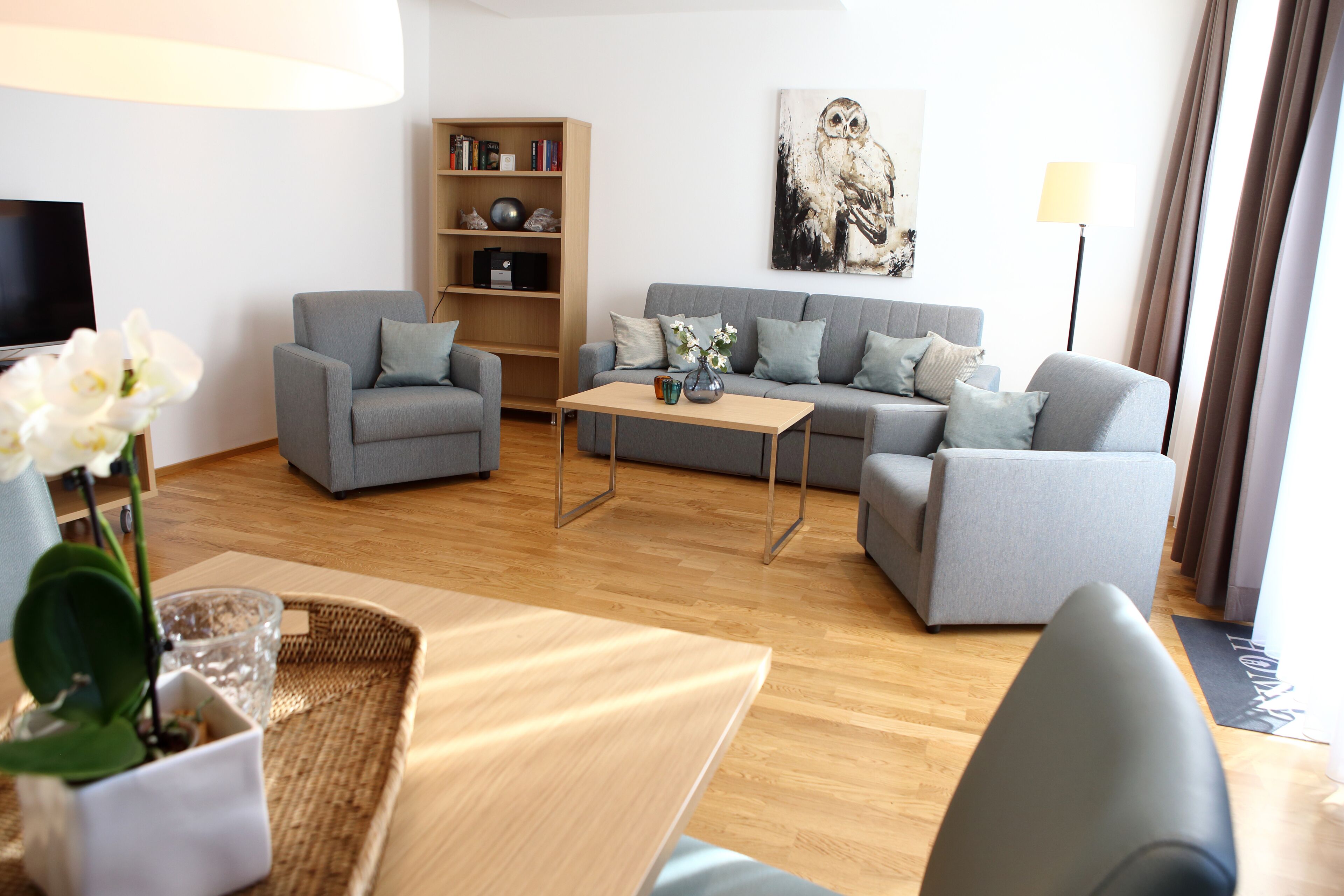 Fernseher, Bücher
