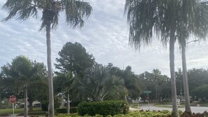 A landscaped area with palm trees, a stop sign, and a road.