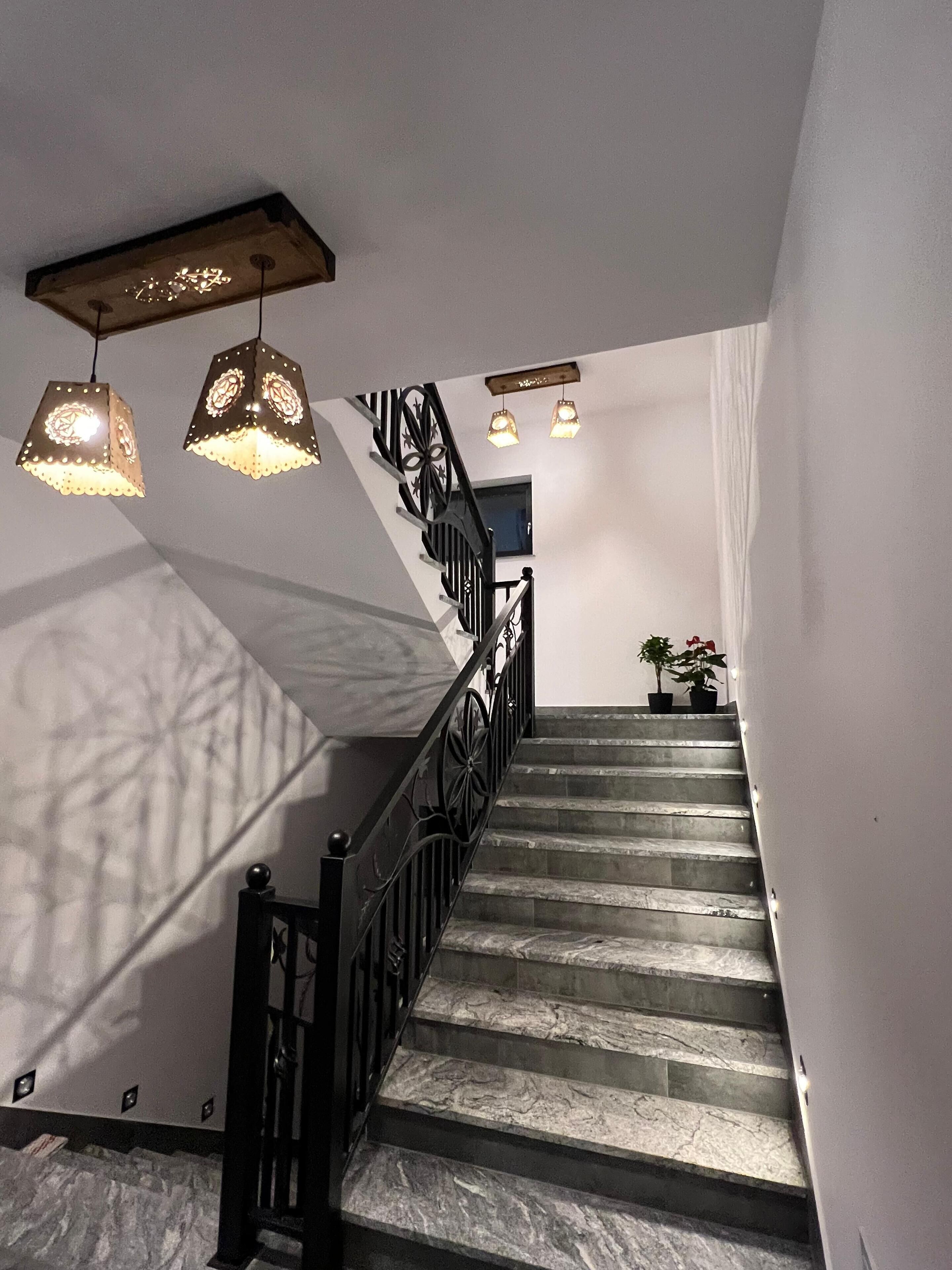 A staircase with a black railing and a wooden handrail, leading to a landing with a potted plant.