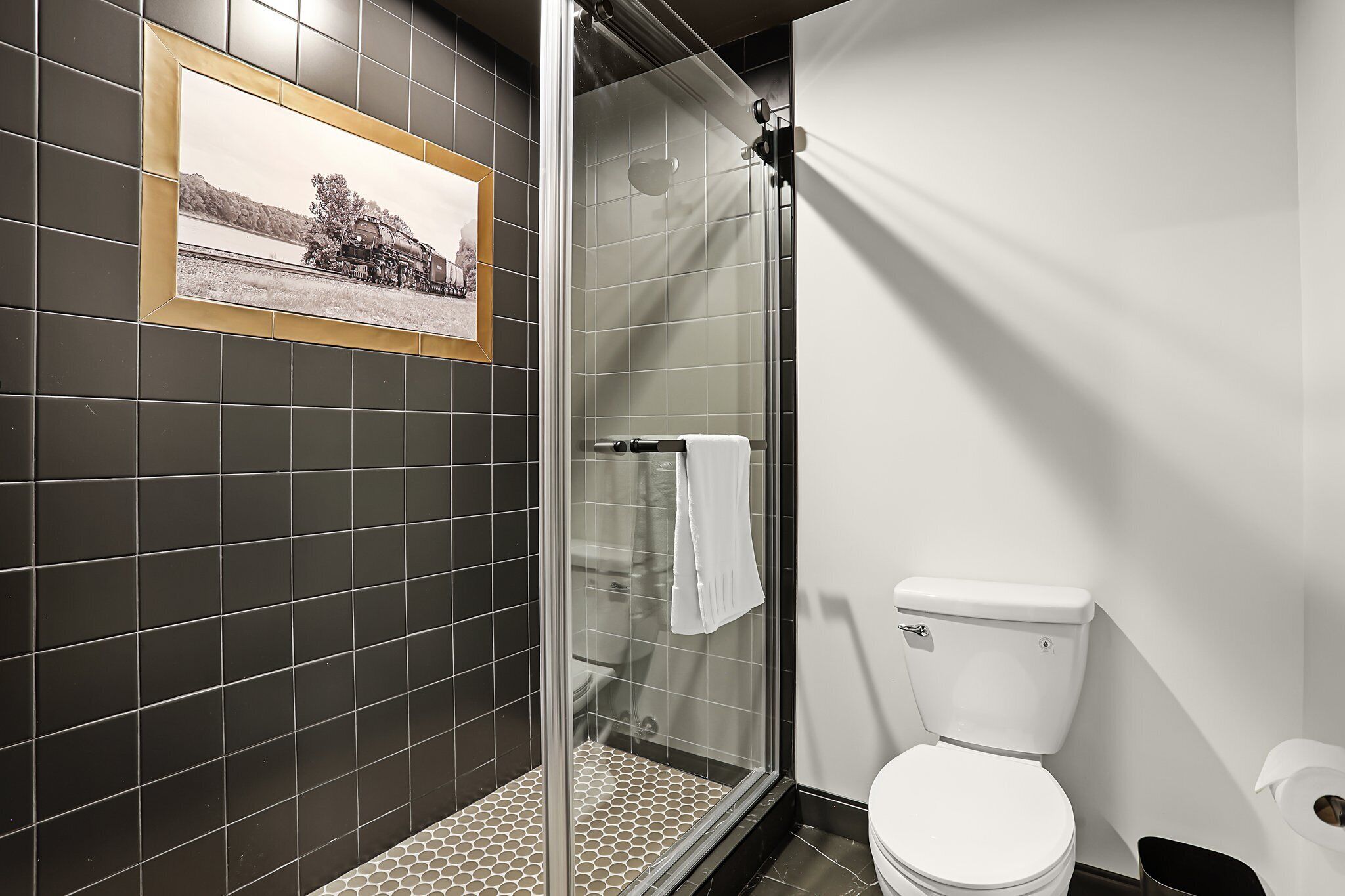A bathroom with a glass shower enclosure, a white toilet, and a framed photograph on the wall.