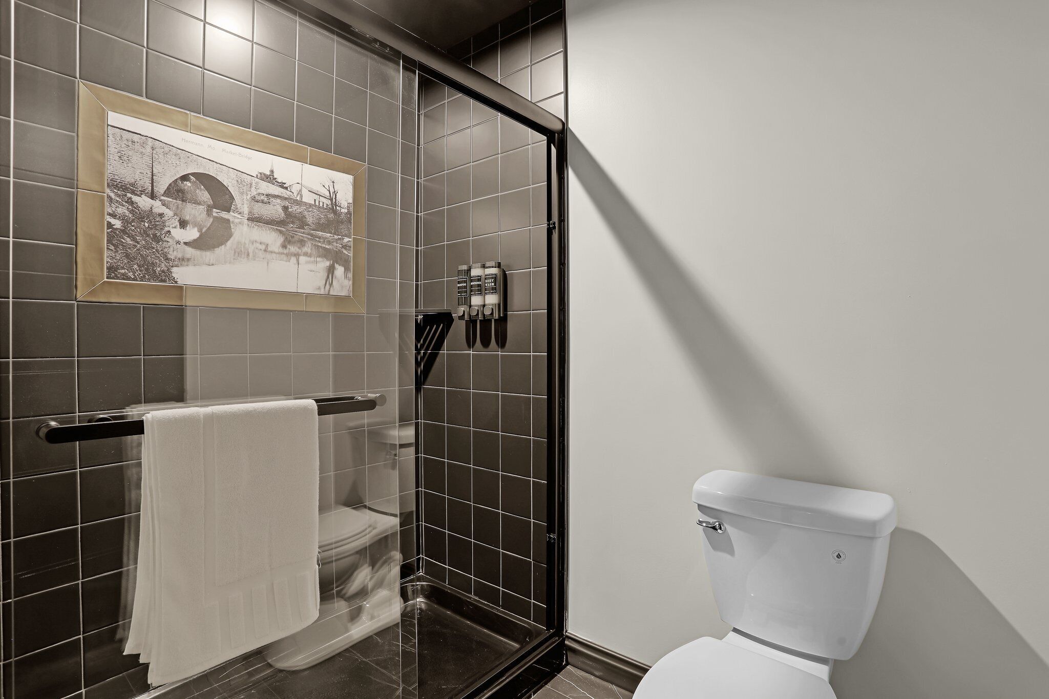 A bathroom with a glass shower enclosure, a white toilet, and a framed picture on the wall.