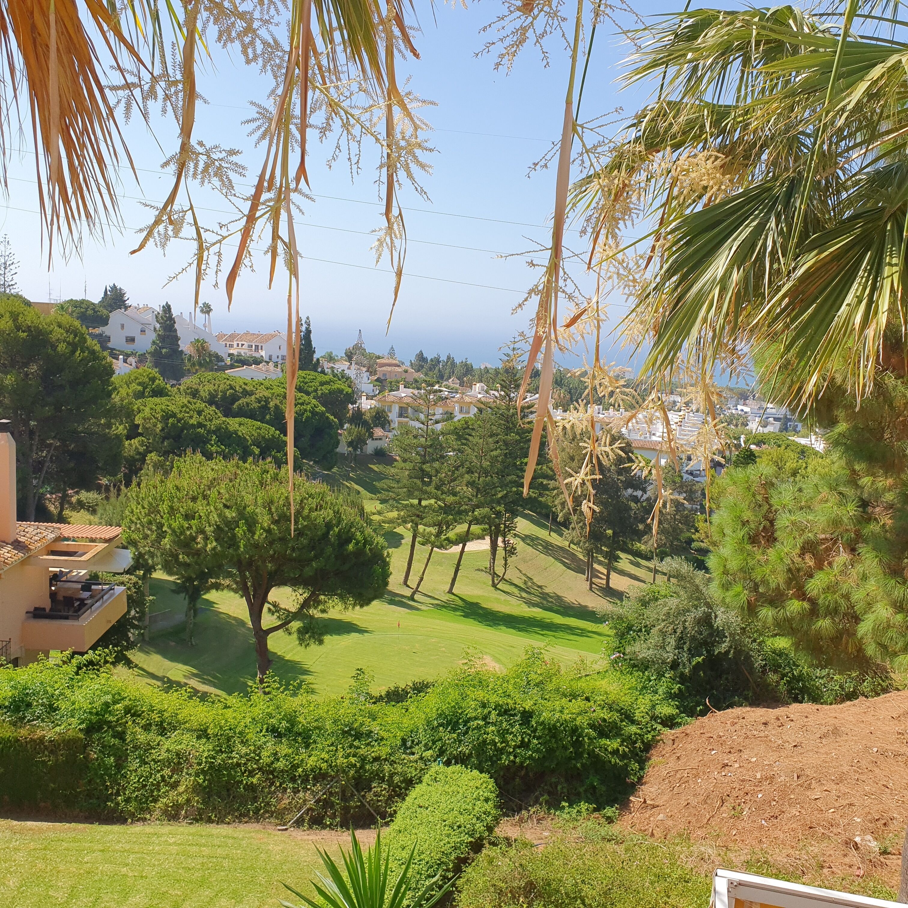 A lush green landscape with a well-maintained lawn, a large tree, and a view of a coastal town in the background.