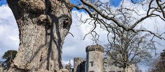 5 minutes from Loch Lomond. Newly Renovated 1 Bed Ground Floor Flat.