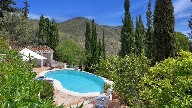 A swimming pool surrounded by greenery and a mountain in the background. - The Old Mill: Pool, Sleeps 8, WiFi, 4 bed, views (Frigiliana)