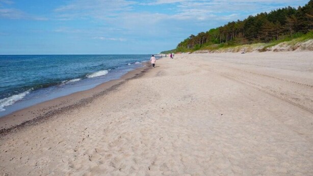 A wide sandy beach with gentle waves, a clear sky, and a forested hill in the background. - Comfortable holiday apartment by the beach (Pobierowo)
