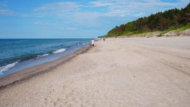 Een breed zandstrand met zachte golven, een heldere lucht en een bebost gebied op de achtergrond.