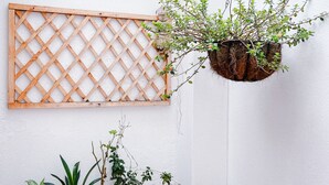 Un mur blanc orné d’un panneau en treillis de bois et d’un pot à suspendre contenant une plante.
