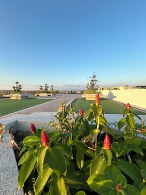 Terrain de l’hébergement 