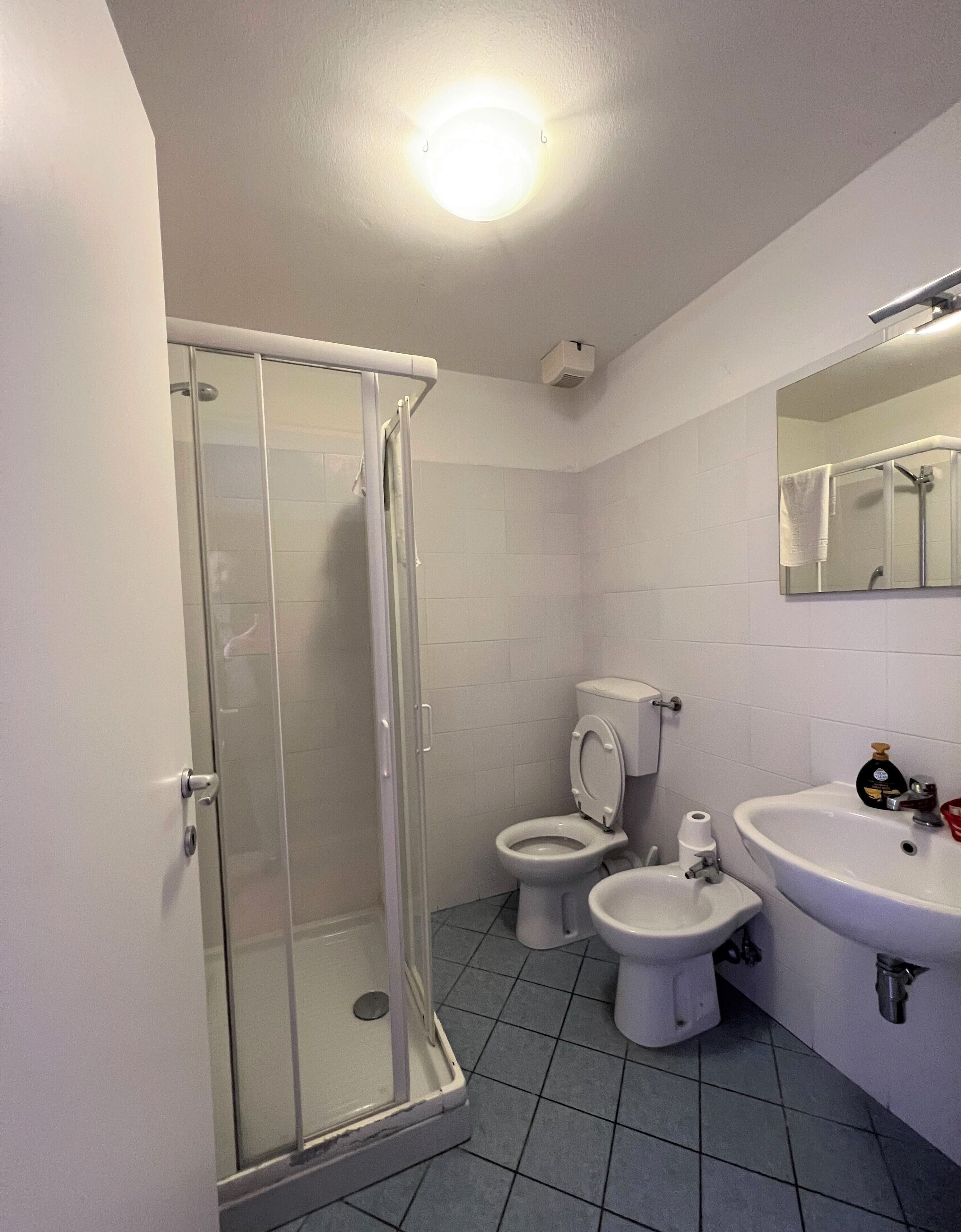 A bathroom with a glass-enclosed shower, a toilet, and a sink.