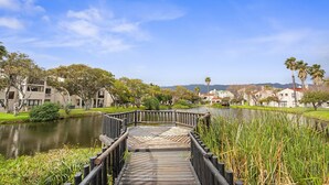 Un paseo marítimo de madera que conduce a una masa de agua, con edificios y árboles al fondo.