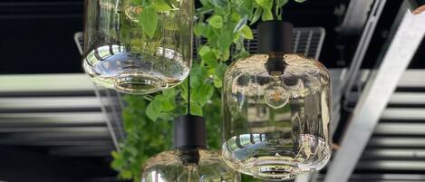 A modern interior with hanging glass light fixtures and a green plant.