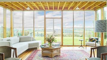 TV connectée, cheminée