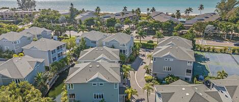 A residential area with houses, a road, and a view of the ocean.