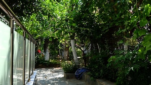 Un vialetto in pietra incorniciato da vegetazione rigogliosa e un cancello in metallo.