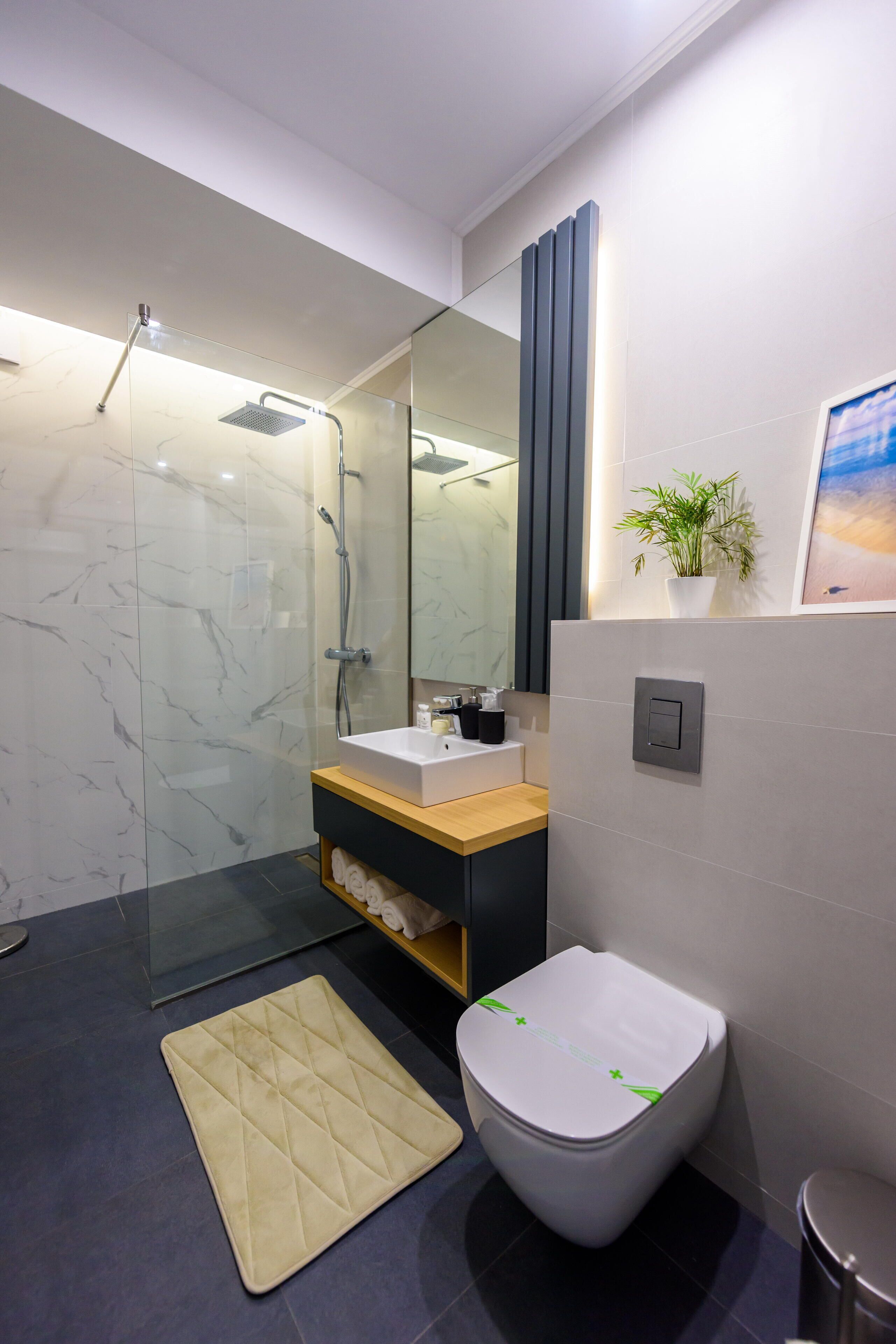 Une salle de bain moderne avec une douche à parois de verre, un lavabo blanc, des toilettes et une petite plante en pot.