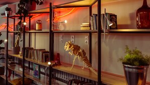 A modern interior with wooden shelves, books, a cactus, and a skeleton model. - Micampus Covilhã (Covilhã)