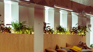 A modern lounge area with sofas, a round table, and a wooden planter wall with plants. - Micampus Covilhã (Covilhã)
