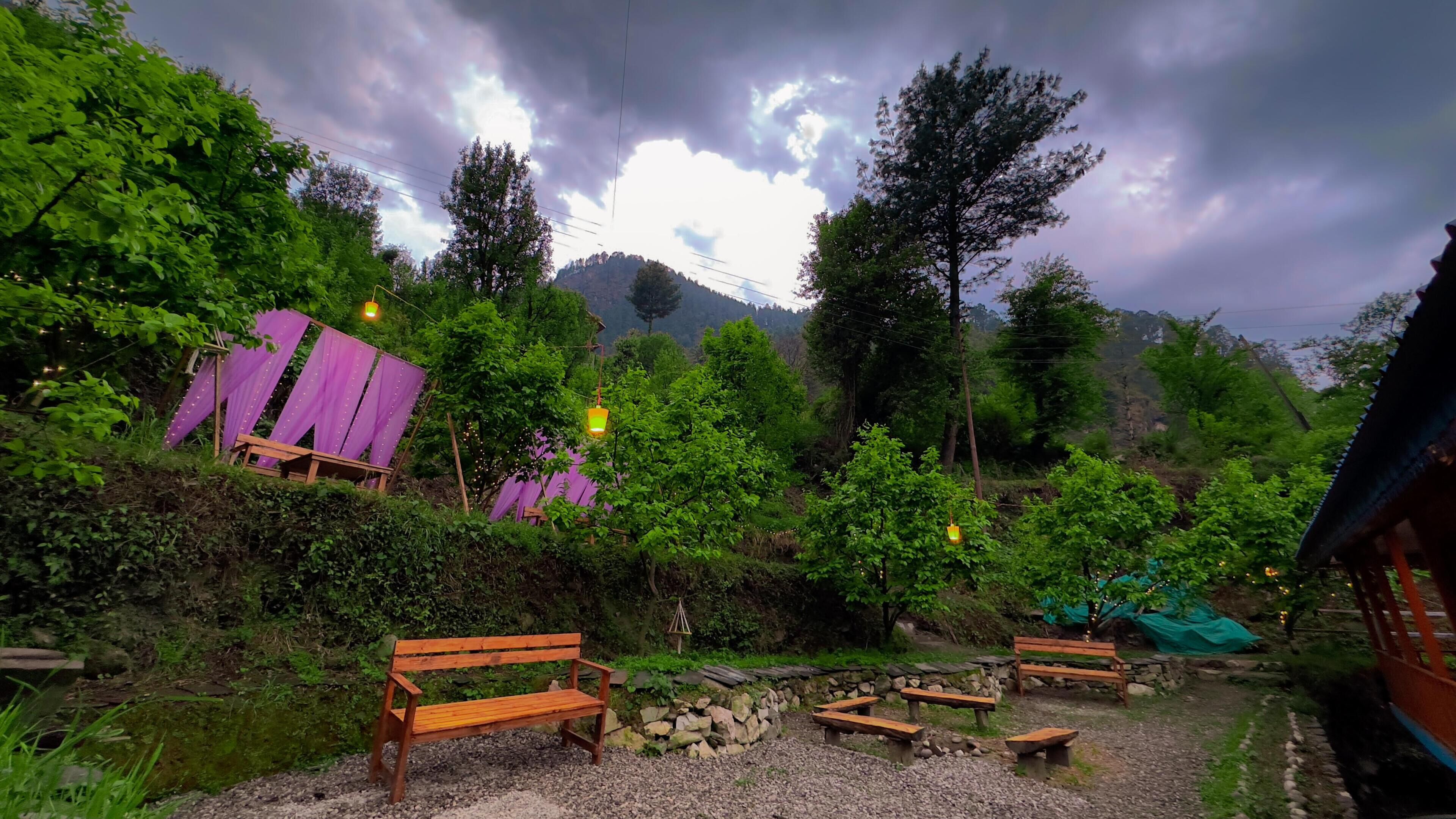A serene outdoor seating area with wooden benches and tables, surrounded by lush greenery and trees.