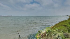 A coastal view with calm water, grassy shore, and distant buildings. - Little Bay House by Miss Kitty’s (Rockport)