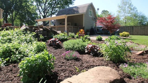 Un jardin avec différentes sortes de plantes et une structure en bois en arrière-plan.