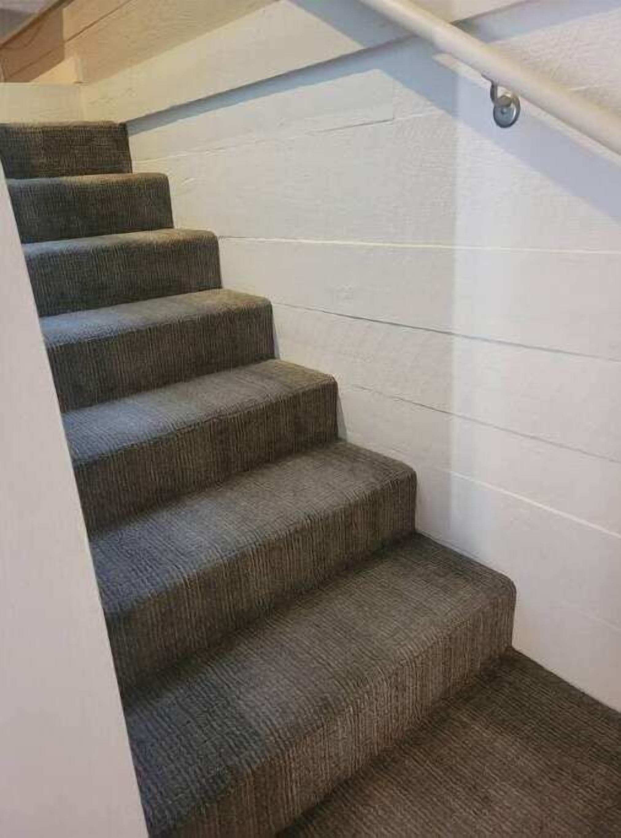 Un escalier avec des marches recouvertes de moquette et une rampe.