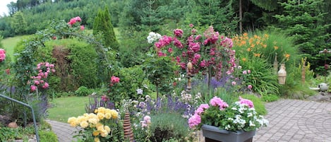 Jardines del alojamiento