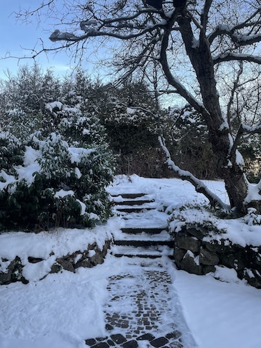 Ferienwohnung zum Zauberwald