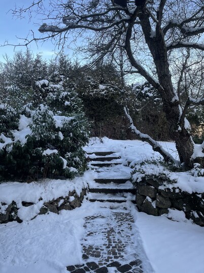 Ferienwohnung zum Zauberwald