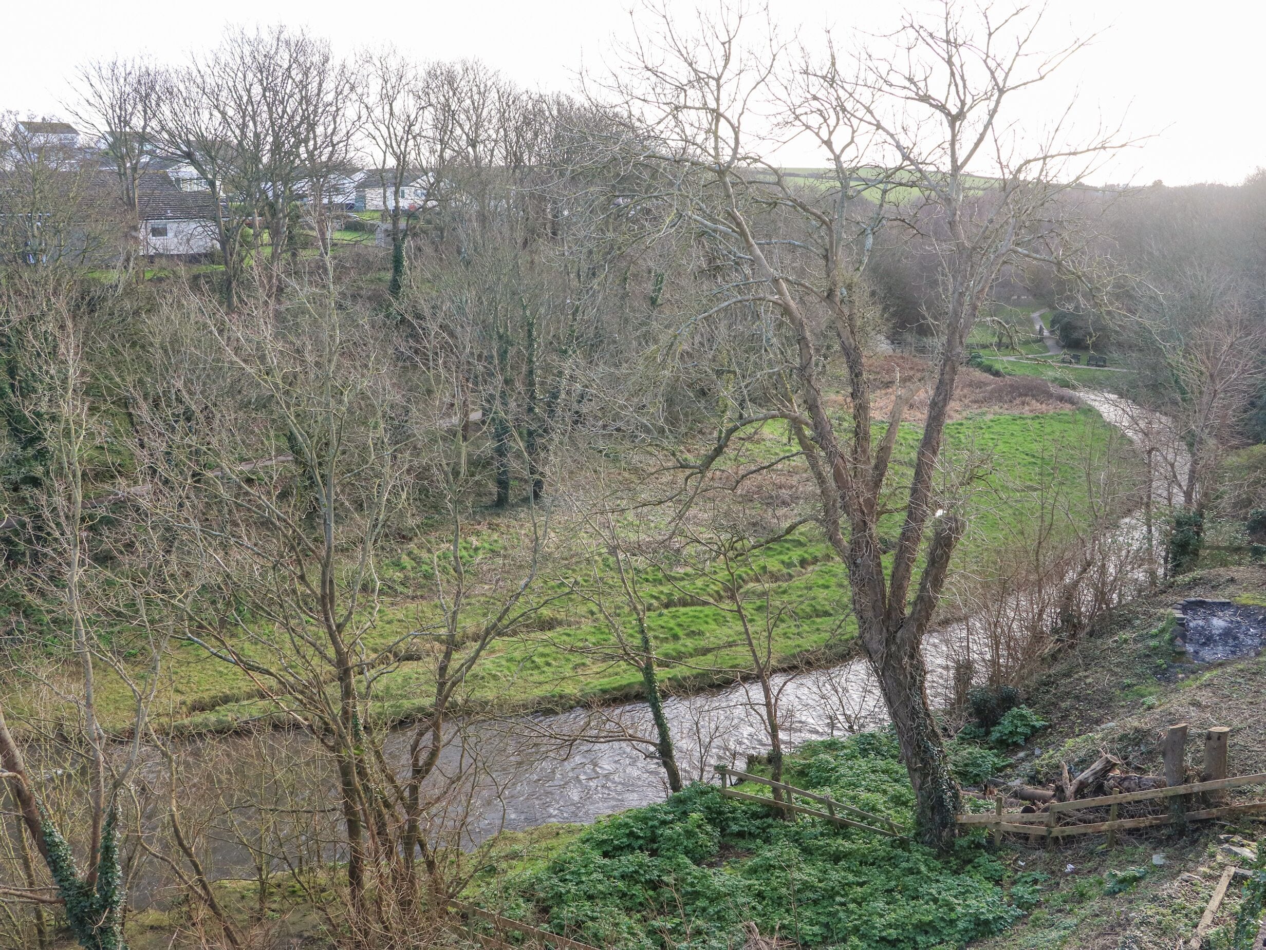 A river flowing through a rural landscape with trees and a grassy area.