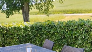 Un patio al aire libre con una mesa y sillas, una jardinera con flores, y un seto al fondo.