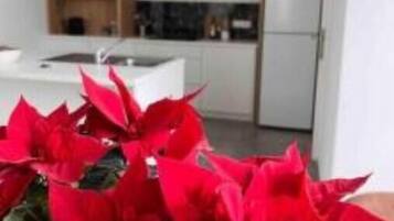 Een koelkast, een microgolfoven, een kookplaat, een vaatwasser