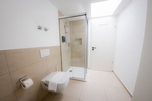 Bathroom features a glass-enclosed shower, toilet, and skylight.