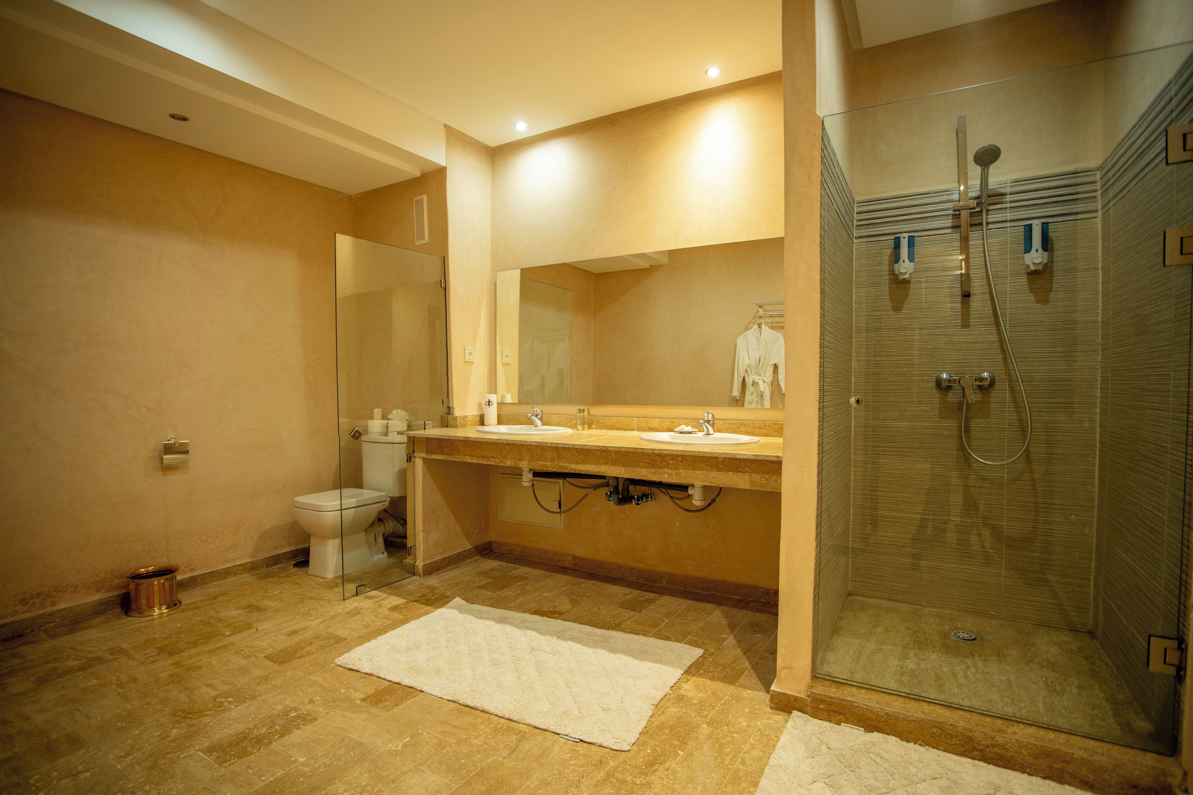 A modern bathroom with a glass shower enclosure, a dual sink vanity, and a toilet.