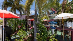 A tropical outdoor area with palm trees, flamingos, and various signs indicating amenities like 'Cold Beer' and 'Mainland'. - Sea La Vie: 2Bed Gulf-Adjacent Condo - by SkyRun Anna Maria (Bradenton Beach)