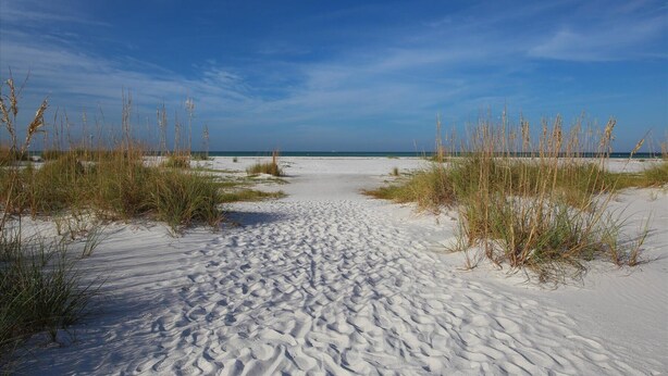 A sandy beach with sparse vegetation and a clear blue sky. - Sea La Vie: 2Bed Gulf-Adjacent Condo - by SkyRun Anna Maria (Bradenton Beach)