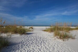 A sandy beach with sparse vegetation and a clear blue sky.