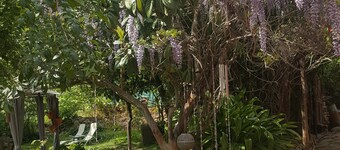 Mohkutie Loft by Eco Moyano Posada