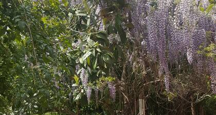 Mohkutie Loft by Eco Moyano Posada