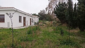 A white building with three wooden doors and windows, surrounded by greenery and trees. - agriturismo tres montes (Sorso)
