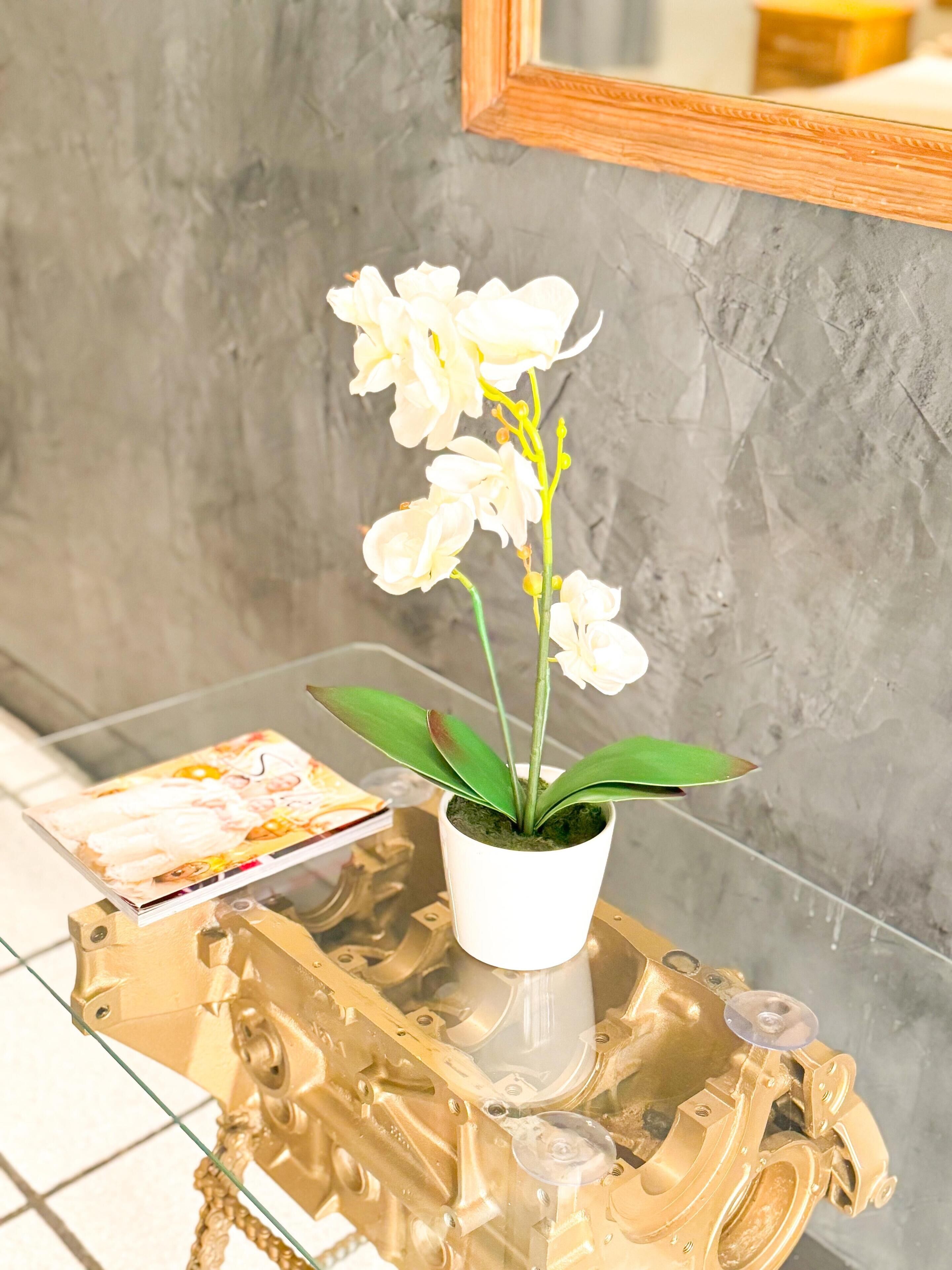 Photo - Hotel Sexta Avenida