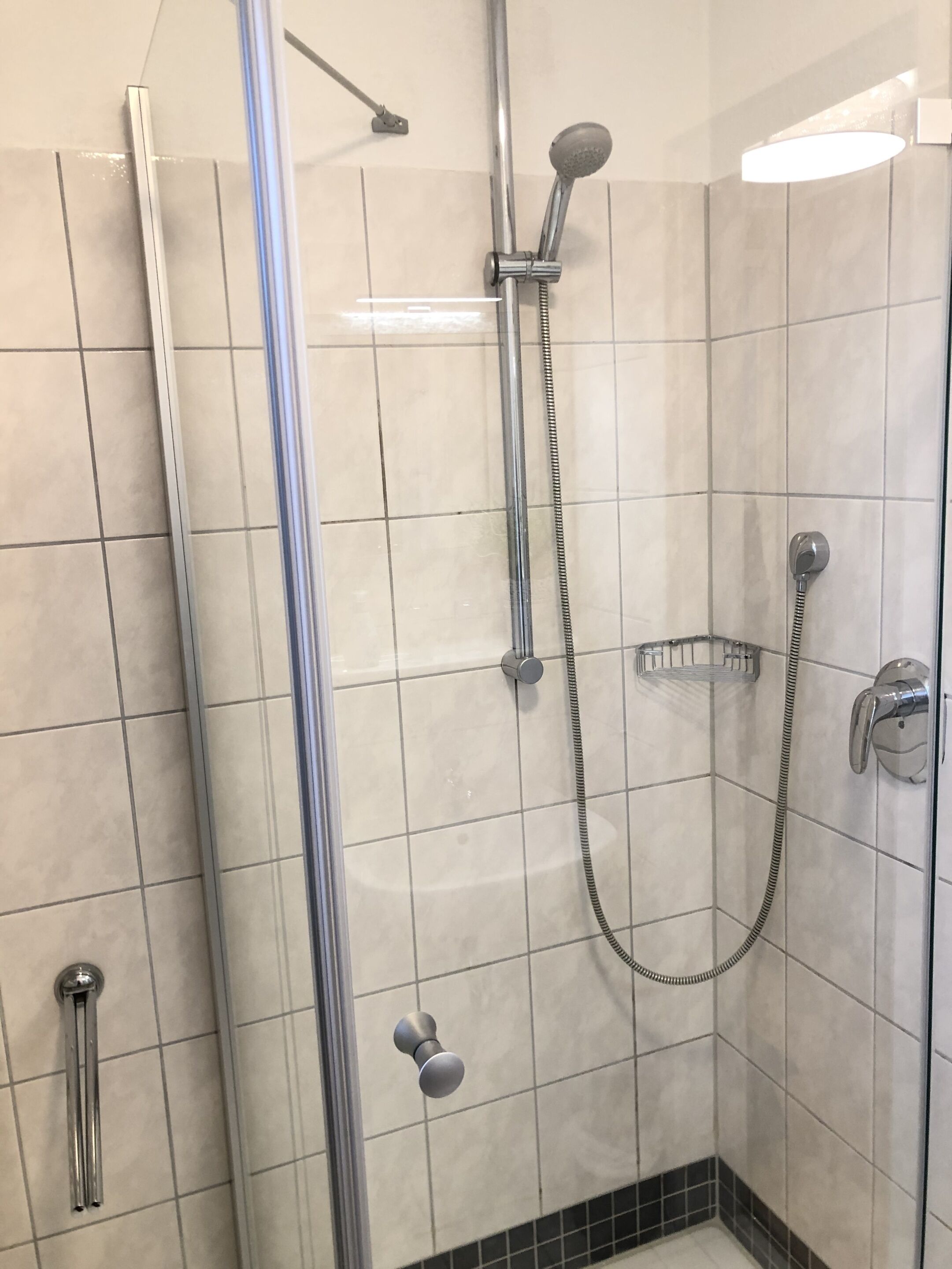 A glass-enclosed shower with a handheld showerhead, a wall-mounted faucet, and a corner shelf.