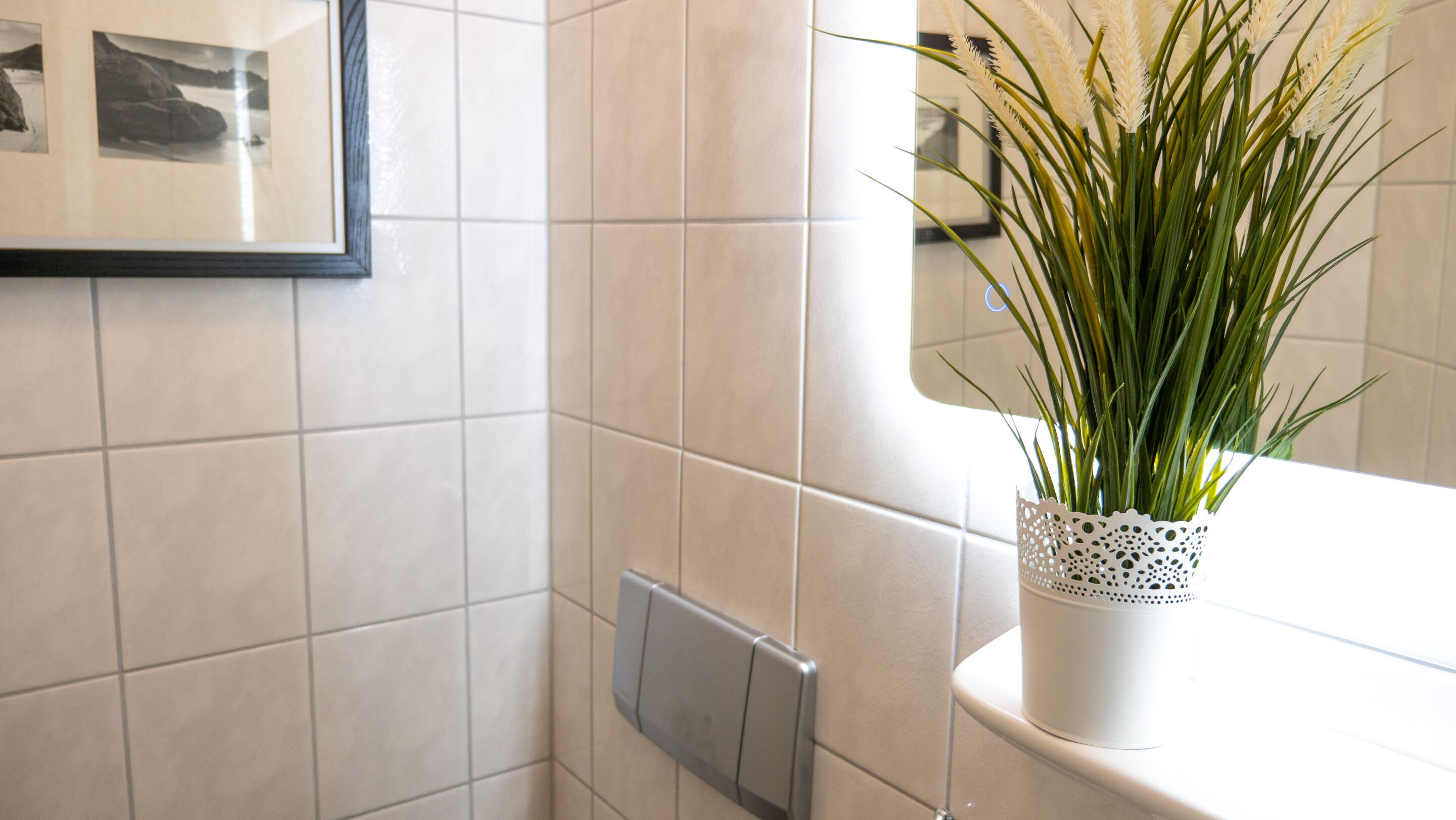 Une salle de bain aux carreaux blancs, un tableau encadré au mur et une plante en pot posée sur le comptoir.
