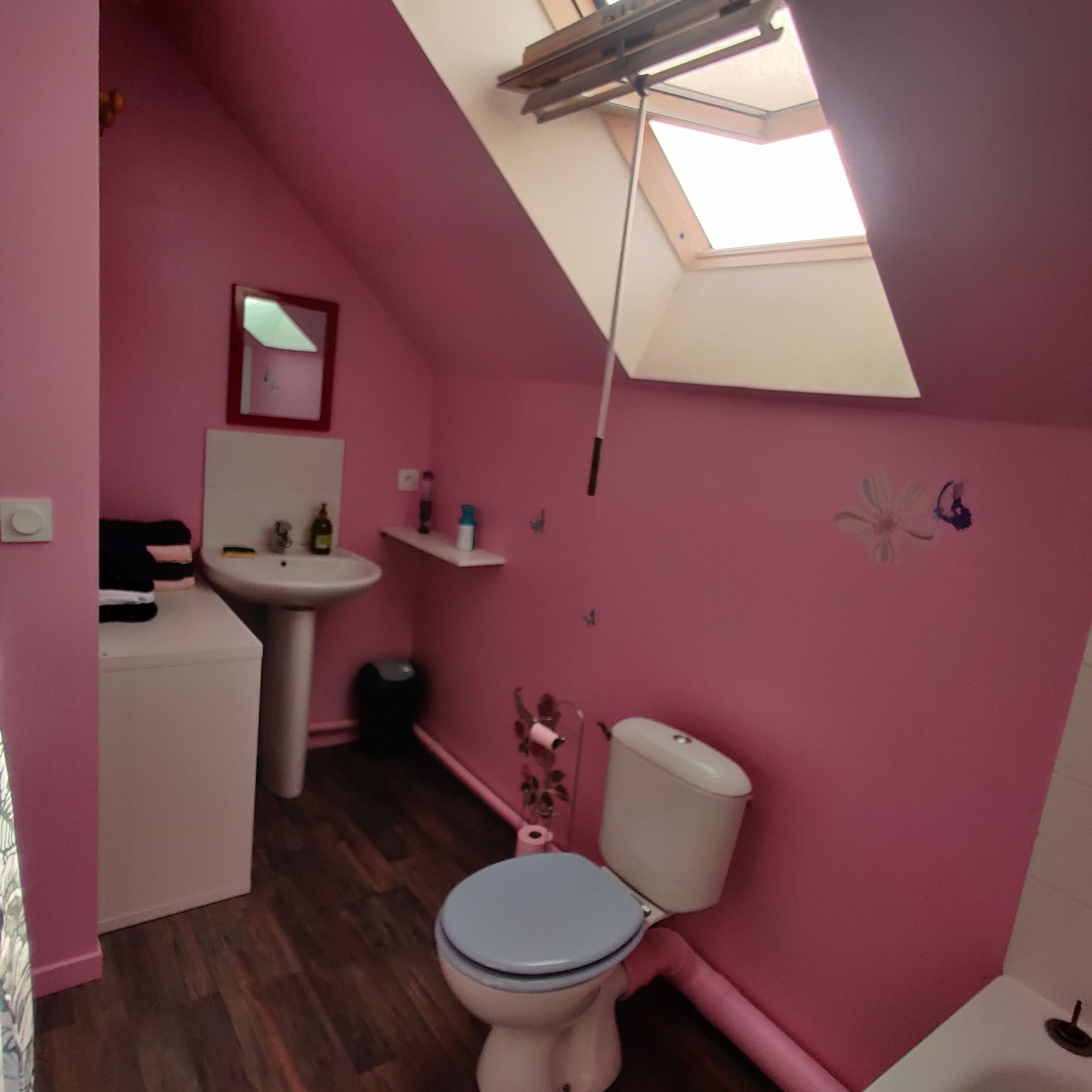 Une salle de bain rose avec un puits de lumière, un lavabo, des toilettes et un miroir.